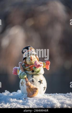 Schneemann und Fichtenzapfen / Tannenzapfen im Winter / Raureif Foto Stock