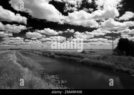 Summer View su Bevills apprendere drain, Pondersbridge village, Fenland; Cambridgeshire; Inghilterra; Regno Unito Foto Stock