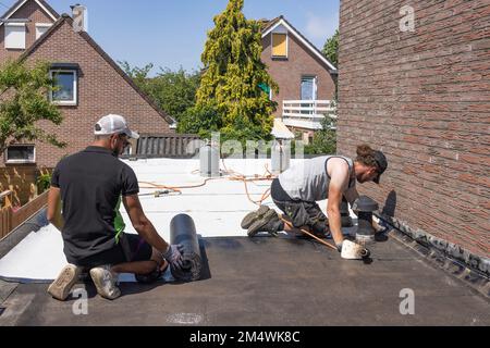 Urk, Paesi Bassi - 23 giugno 2022: Lavoratori a tetto piano che preparano rotoli di nuovo feltro o bitume bianco copertura Foto Stock