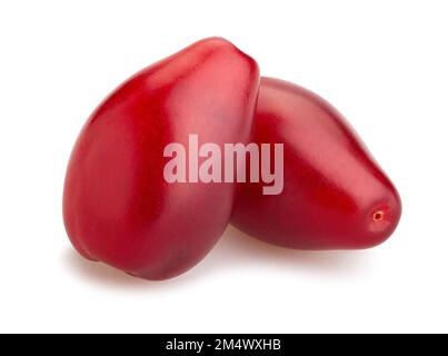 sentiero di ciliegia corneliana isolato su bianco Foto Stock