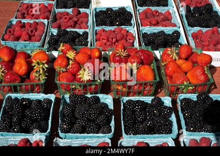 Visto al mercato di un agricoltore a Los Angeles, California, USA. Foto Stock