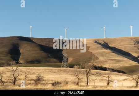 Mulini a vento su una collina a Maryhill nella Gola orientale della Columbia, Washington. La zona intorno a Maryhill e Goldendale è il bene immobile principale per vento Foto Stock