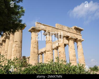 Tempio di Selinunte, Sicilia, Italia, Europa Foto Stock