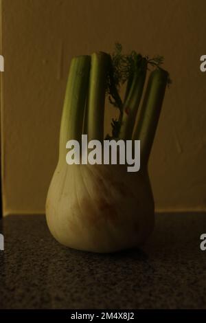 Immagine semplice in condizioni di scarsa illuminazione di un finocchio Foto Stock