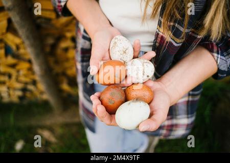 Mani di una donna che tiene uova marroni e bianche Foto Stock