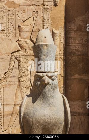 Egitto, Governatorato di Assuan, Edfu, scultura Falcon al Tempio di Edfu Foto Stock