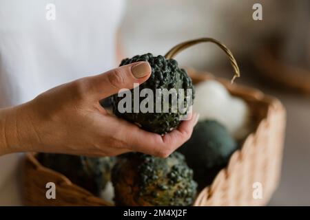 Mano di donna che tiene piccola zucca verde Foto Stock