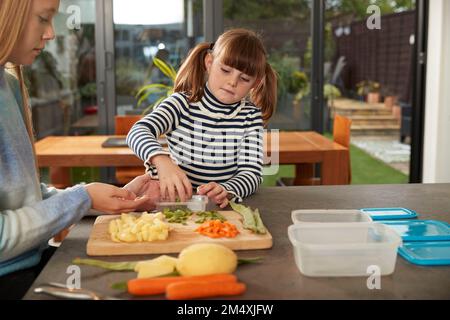 Ragazze che immagazzinano le verdure in contenitori di plastica nel paese Foto Stock