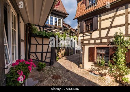 Germania, Baden-Wurttemberg, Gengenbach, vicolo di Cobblestone che si estende tra case a graticcio Foto Stock