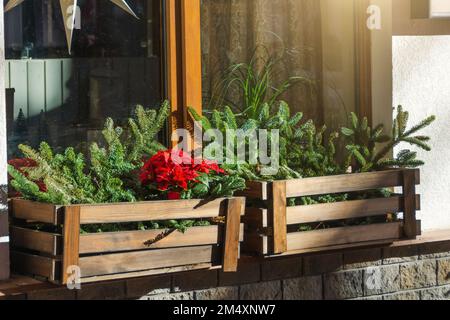 Coni di pino fresco in una scatola di legno sulla finestra davanzali dell'edificio esterno Foto Stock