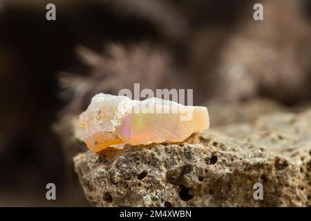 Pezzo grezzo non tagliato di pietra minerale di Opal. Geologia Gem Crystal Collection su sfondo naturale Foto Stock