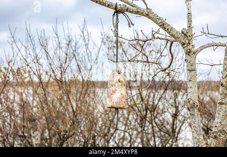 Una boa usata appesa nell'albero a Montauk, NY Foto Stock