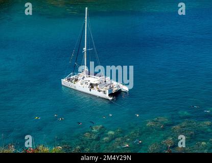 Gli amanti dello snorkeling nuotano dal Trilogy 111Catamaran nella Honolua Bay Marine Reserve, Maui, Hawaii Foto Stock