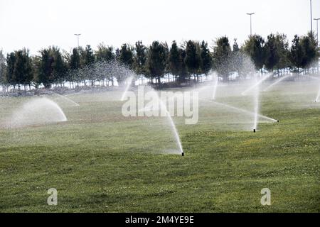 Lawn sprinkler acqua di spruzzatura di acqua su erba in giardino Foto Stock