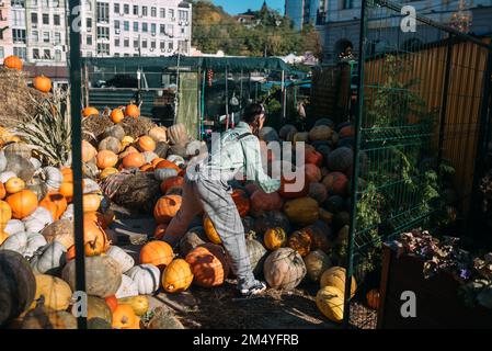 La donna contadina in una tuta di denim sceglie la zucca matura Foto Stock