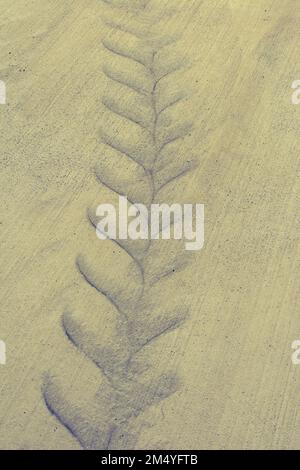 Tracce di pneumatici segni di pneumatici su cemento come trama astratta grunge Foto Stock