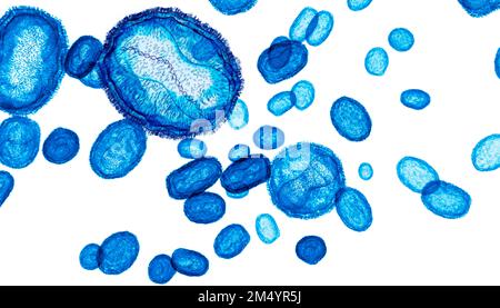 Mpox, o monkeypox, particelle virali, illustrazione. Mpox è un virus zoonotico della famiglia Poxviridae che causa Mpox, una malattia simile al pox. Presso il ce Foto Stock