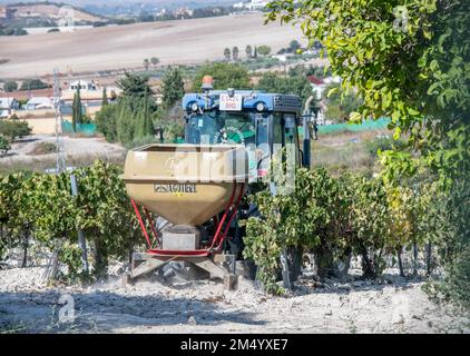 Trattore che tira l'attrezzatura di coltivazione tra le file di viti a vigneto per sherry, Jerez de la Frontera, Spagna Foto Stock