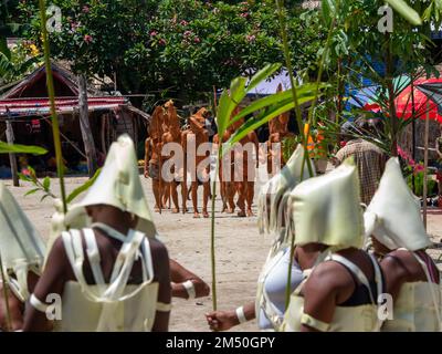 Danza personalizzata a Owaraha, o Santa Ana, Isole Salomone Foto Stock
