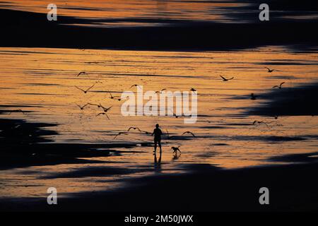 Un pareggiatore fa una corsa la vigilia di Natale all'alba sulla spiaggia di Tynemouth LongSands nel Nord-est dell'Inghilterra. Data immagine: Sabato 24 dicembre 2022. Foto Stock