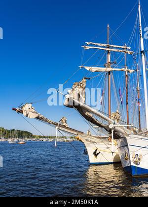 Navi a vela sul Warnow durante la Hanse Sail a Rostock. Foto Stock