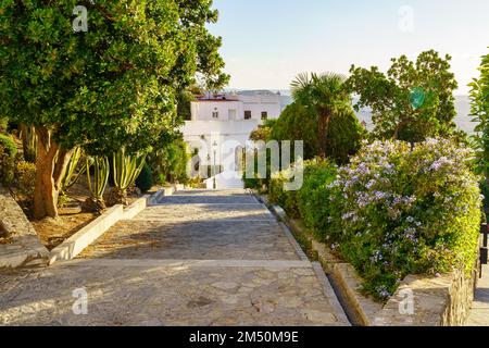 Giardini arabi con strade per passeggiare nel bellissimo villaggio bianco di Medina Sidonia, Cadice. Foto Stock