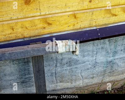 scala in legno vicino ad un casale, in primavera Foto Stock