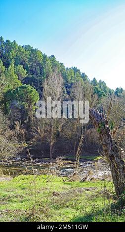 Fiume Llobregat a Sant Fruitós del Bages, Barcellona, Catalogna, Spagna, Europa Foto Stock