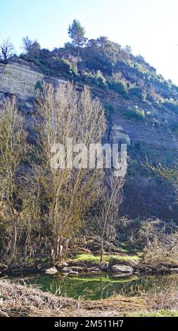 Fiume Llobregat a Sant Fruitós del Bages, Barcellona, Catalogna, Spagna, Europa Foto Stock