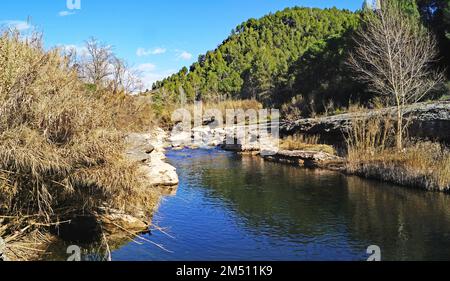 Fiume Llobregat a Sant Fruitós del Bages, Barcellona, Catalogna, Spagna, Europa Foto Stock