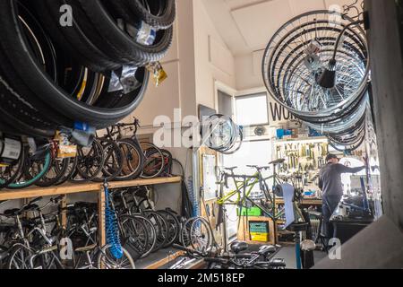 Il Cycle Hub,a, luminoso, moderno negozio di biciclette e accessori con riparazione, e, noleggio, servizi, più un, All'interno dell'hotel, caffetteria, accanto a, Cycle Route, PATH, 72 e River Tyne, Newcastle upon Tyne, Simply, Newcastle, è una città e, quartiere metropolitano, In, Tyne e Wear, Inghilterra. La città si trova sulla riva settentrionale del fiume Tyne e costituisce la parte più grande dell'area edificata di Tyneside. Newcastle è anche la città più popolosa dell'Inghilterra nord-orientale. Nord-est,Inghilterra,inglese,GB,Gran Bretagna,britannica,Regno Unito,Regno Unito,Europa,Europa Foto Stock