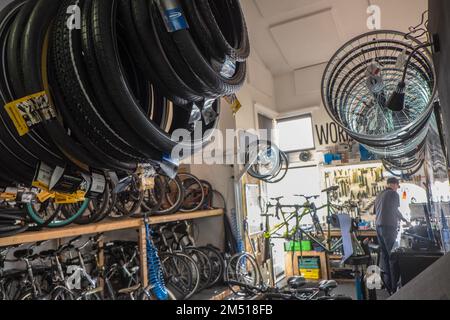 Il Cycle Hub,a, luminoso, moderno negozio di biciclette e accessori con riparazione, e, noleggio, servizi, più un, All'interno dell'hotel, caffetteria, accanto a, Cycle Route, PATH, 72 e River Tyne, Newcastle upon Tyne, Simply, Newcastle, è una città e, quartiere metropolitano, In, Tyne e Wear, Inghilterra. La città si trova sulla riva settentrionale del fiume Tyne e costituisce la parte più grande dell'area edificata di Tyneside. Newcastle è anche la città più popolosa dell'Inghilterra nord-orientale. Nord-est,Inghilterra,inglese,GB,Gran Bretagna,britannica,Regno Unito,Regno Unito,Europa,Europa Foto Stock