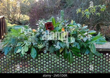 accordo natalizio in abete alloro e foglie verdi con robins e un armadio Foto Stock