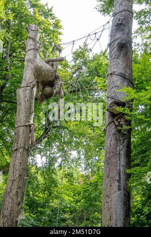 ragno e ragnatela fatti da corda appesa ad un tronco d'albero Foto Stock