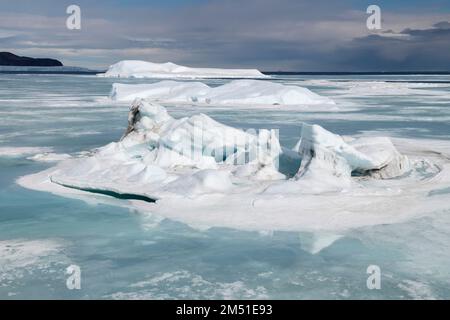 Antartide, Weddell Sea, Larson Inlet. Mare ghiaccio paesaggio. 64° 24' 45 N 59° 27' 2 W. Foto Stock