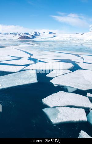 Antartide, Weddell Sea, Larson Inlet. Ghiaccio di mare rotto. 64° 24' 45 S 59° 27' 2 W. Foto Stock