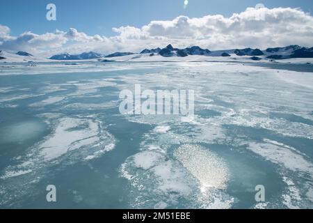 Antartide, Weddell Sea, Larson Inlet. Sole di fusione ghiaccio di mare. 64° 24' 45 S 59° 27' 2 W. Foto Stock