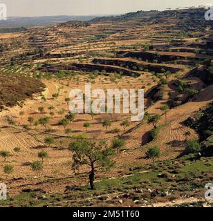 POBLA DE MALUSCA - FOTO AÑOS 60. Ubicazione: ESTERNO. PROVINCIA. Lerida. SPAGNA. Foto Stock