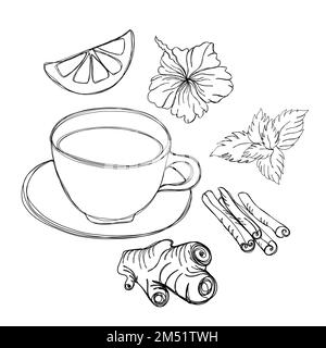 Collezione di tè - una tazza di tè con zenzero, limone, foglie di menta, cannella e ibisco, Line Art Foto Stock