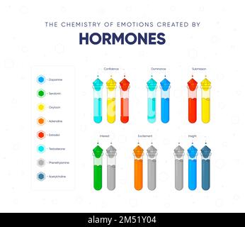 La chimica delle emozioni create dagli ormoni. Dipendenza dello stato e dell'umore della persona da sfondo ormonale. Nomi degli ormoni e medico fl Illustrazione Vettoriale