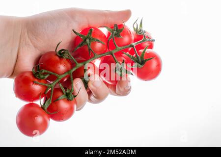 Mazzo di rossi maturi gustosi pomodori ciliegia a portata di mano Foto Stock