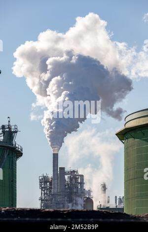 Anacortes WA USA - 18 novembre 2022: Fumo dalla raffinazione dell'olio nel pertroleo alla raffineria della Marathon Foto Stock