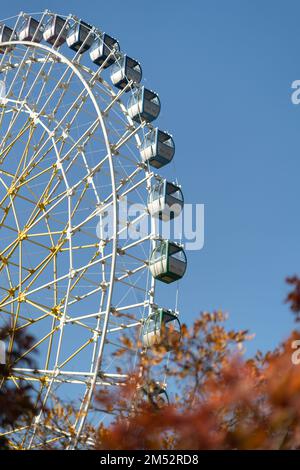 Ruota panoramica alta con cabine che si innalzano in cima da dove si apre una splendida vista della città o della natura Foto Stock