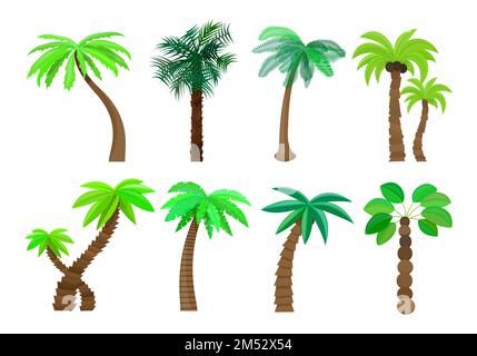 Albero di palma isolato in stile cartoon impostato su uno sfondo bianco Vector Illustration. Alberi estate sole spiaggia tropicale, un argomento naturale per i vostri progetti. Illustrazione Vettoriale