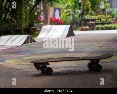 Piste di pattinaggio e skateboard brune Foto Stock