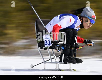 (221225) -- PECHINO, 25 dicembre 2022 (Xinhua) -- Foto del file scattata il 6 marzo 2022 mostra Yang Hongqiong della Cina compete durante il Para Cross-Country Sci Donna lunga distanza seduta di Pechino 2022 Paralimpiadi invernali al Centro Nazionale di Biathlon a Zhangjiakou, nella provincia di Hebei della Cina settentrionale. Yang ha vinto tre medaglie d'oro nello sprint, a metà e a lunga distanza seduti ai Giochi Paralimpici invernali di Pechino 2022. Il debutante Paralimpico di 33 anni divenne il Para-Olimpio Cinese più decorato e fu nominato portatore di bandiera della delegazione cinese alla cerimonia di chiusura del Beiji Foto Stock