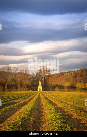 Campi agricoli e piccola cappella gialla nell'affascinante città di Rein (famosa per la bella Abbazia di Rein) vicino a Graz, Steiermark, Austria Foto Stock