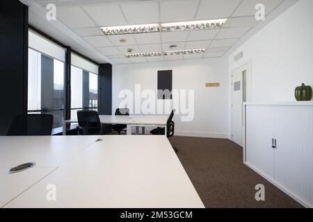 Scrivanie bianche vuote condivise in un ufficio con pavimenti in moquette, grandi finestre con tende a rullo e soffitti tecnici Foto Stock