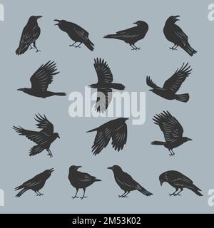 Silhouette corvo. Volando oscuri uccelli ghotici mistici con piume recenti illustrazioni vettoriali set Illustrazione Vettoriale