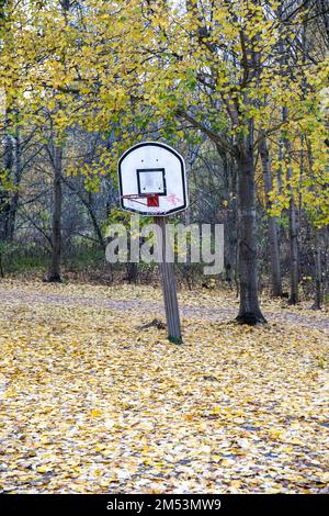 Autunno caduto lascia sul terreno intorno allo stand di pallacanestro a Tilkanniitty, Helsinki, Finlandia Foto Stock